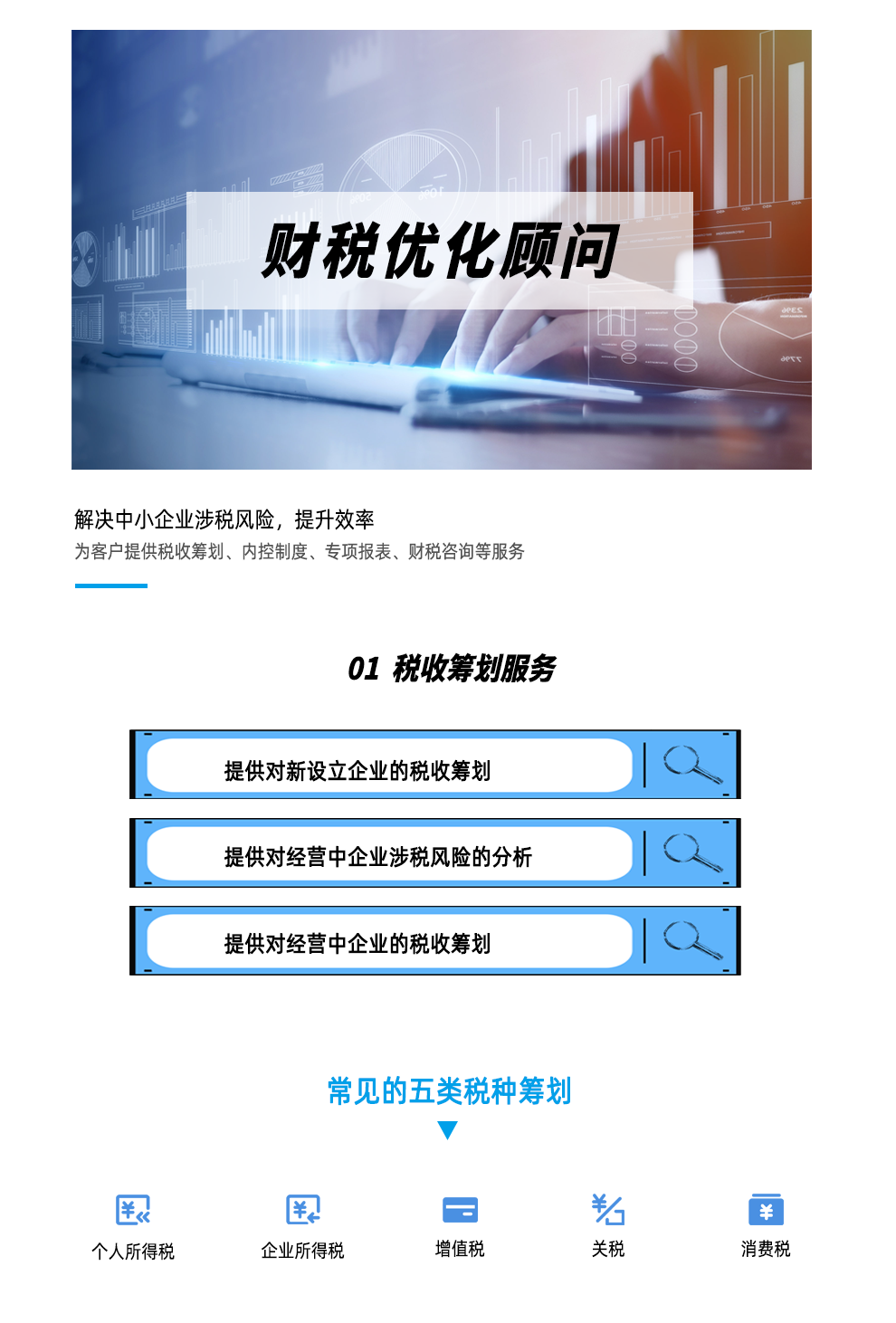 财税优化顾问1.png